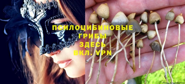 гидра Беломорск